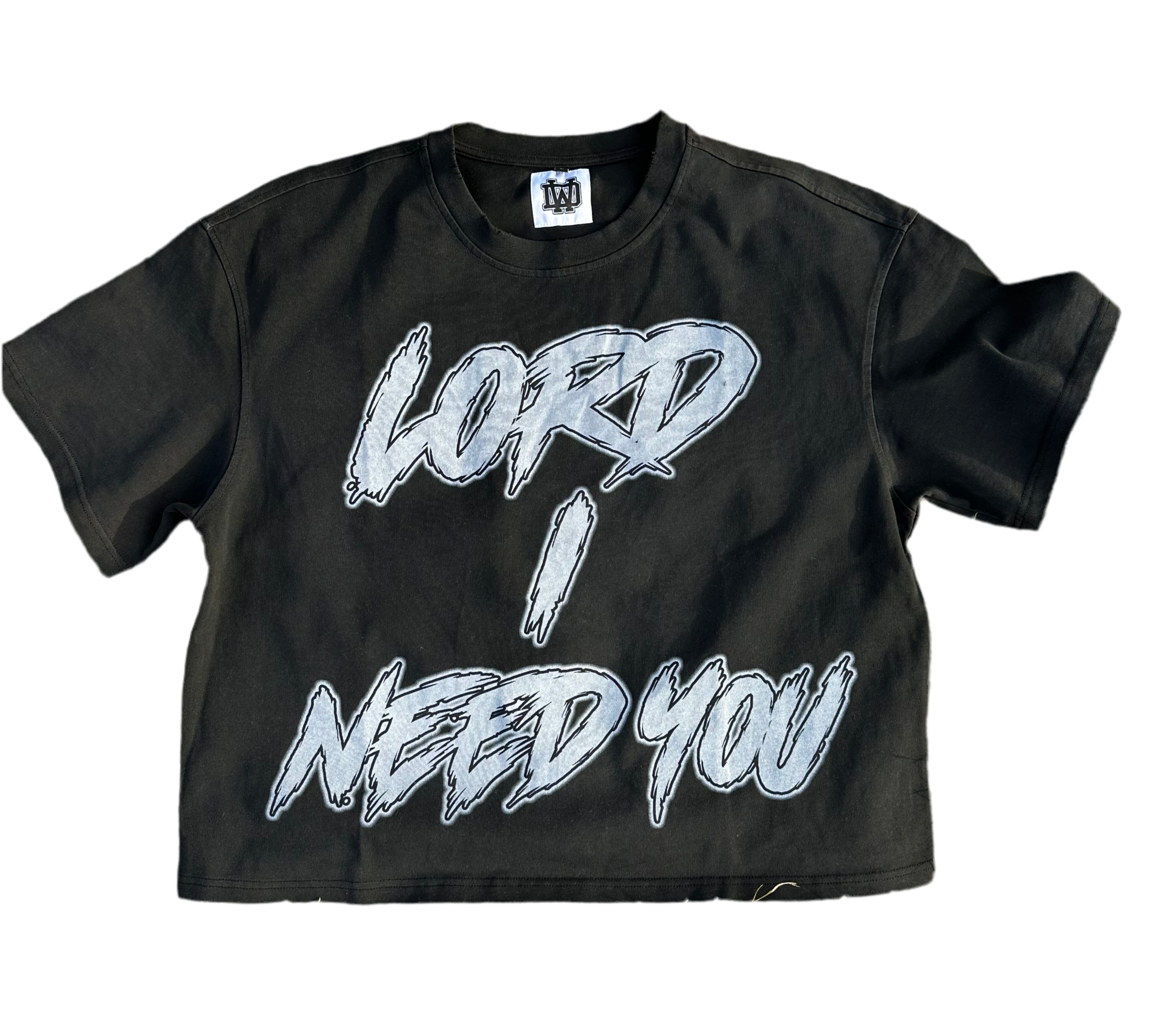 Lord I Need You