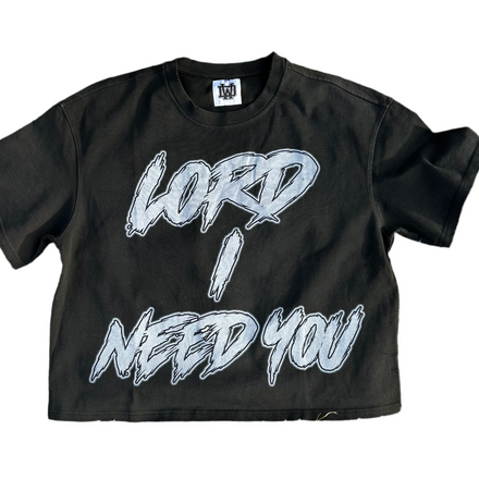 Lord I Need You